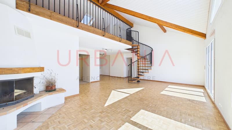 Magnifique appartement de 191m² avec terrasse et mezzanine (3)