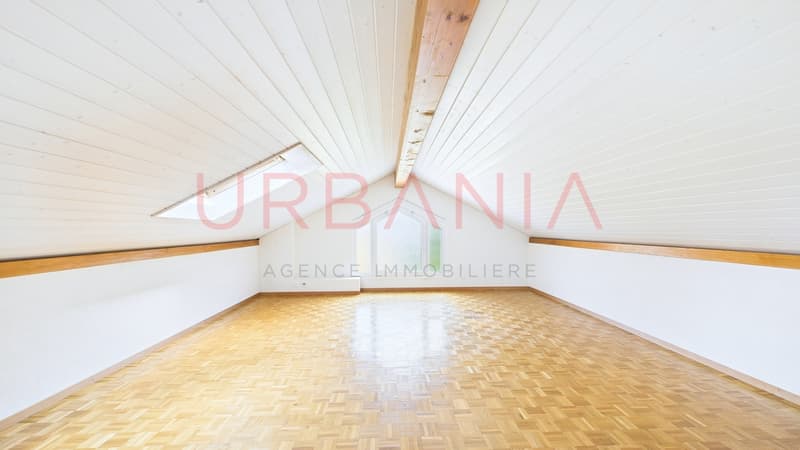 Magnifique appartement de 191m² avec terrasse et mezzanine (9)