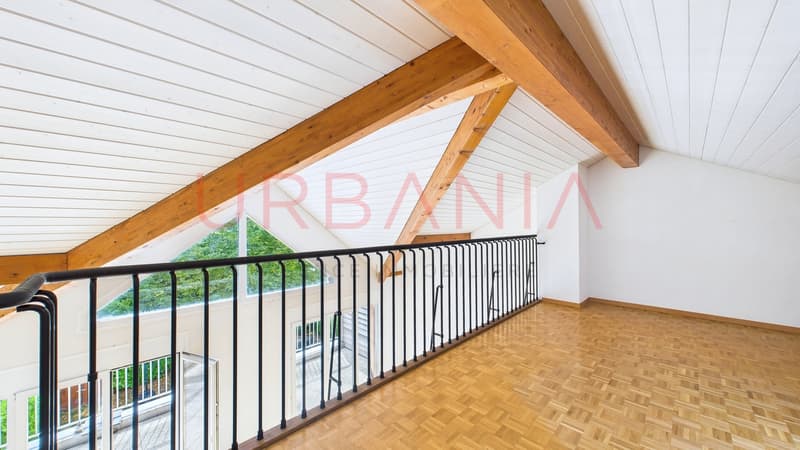 Magnifique appartement de 191m² avec terrasse et mezzanine (11)