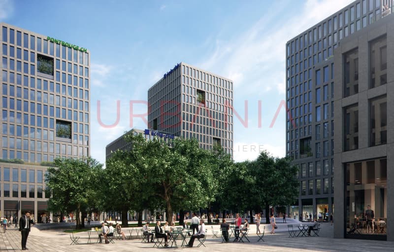 PONT-ROUGE- BEAUX BUREAUX AMENAGES DE 230 M2 (1)