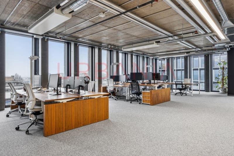 PONT-ROUGE- BEAUX BUREAUX AMENAGES DE 230 M2 (4)
