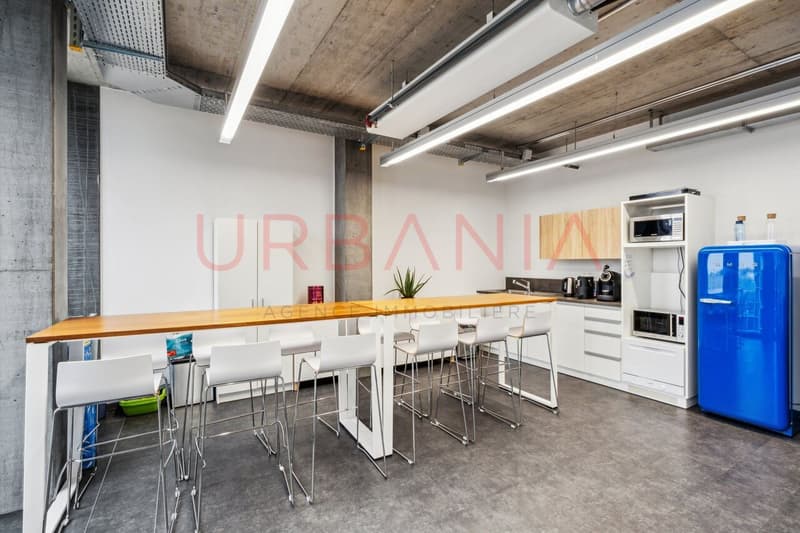 OPPORTUNITE UNIQUE-BUREAUX DE 477 M2 A PONT-ROUGE (7)