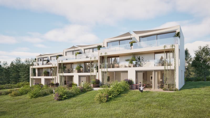 Projet résidentiel de six villas à Versoix (3)