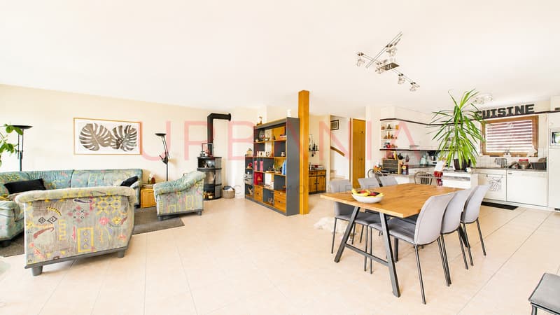 Deux magnifiques villas avec jardins privatifs - Une opportunité rare (2)