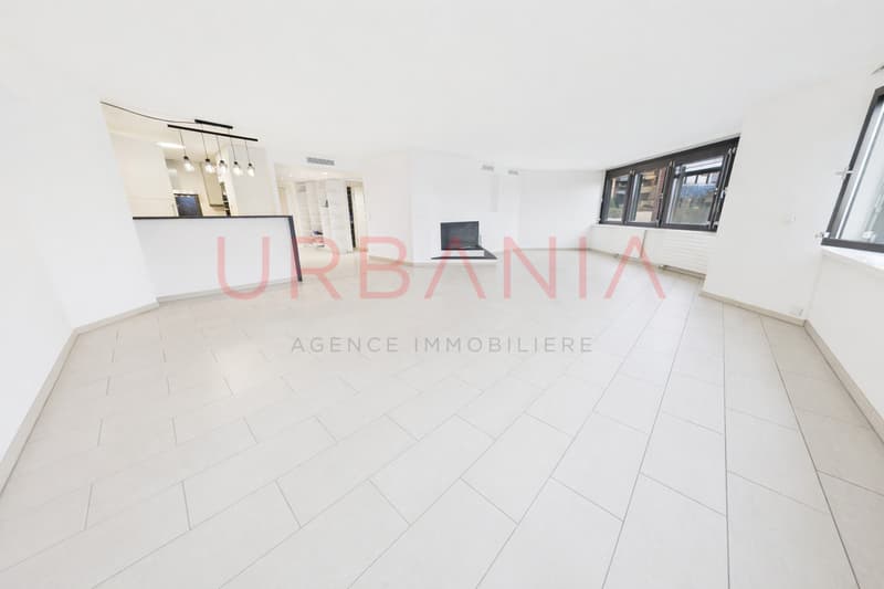 Superbe appartement de 5,5 pièces avec vue sur le lac Léman (2)