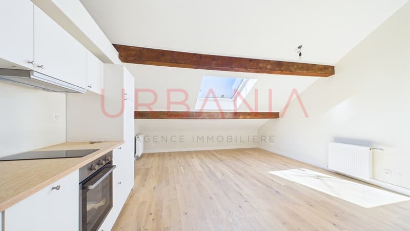 bel appartement de 3.5 pièces (3)