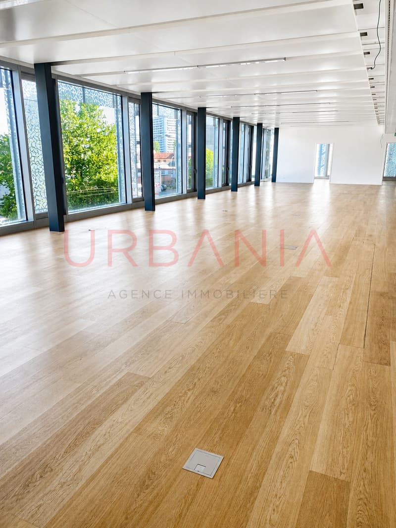 MAGNIFIQUES BUREAUX DE 300 M2 DANS UN IMMEUBLE RECENT (2)