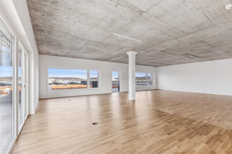Espace de bureau attractif avec terrasse sur le toit privée (2)