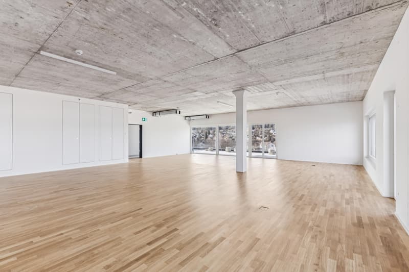 Espace de bureau attractif avec terrasse sur le toit privée (6)