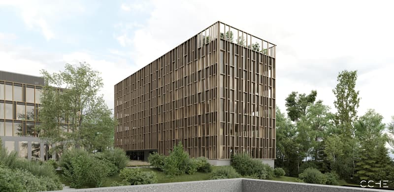 Bâtiment neuf sur-mesure dès 750 m² à Meyrin (8)