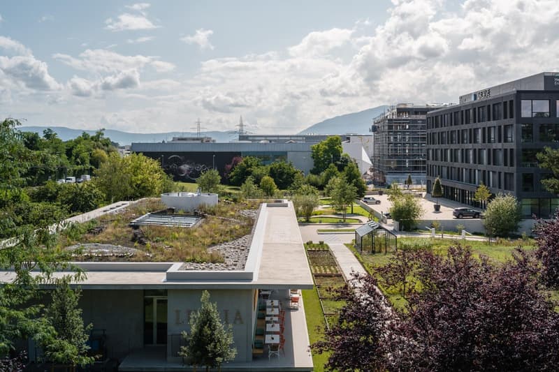 Bâtiment neuf sur-mesure dès 750 m² à Meyrin (6)