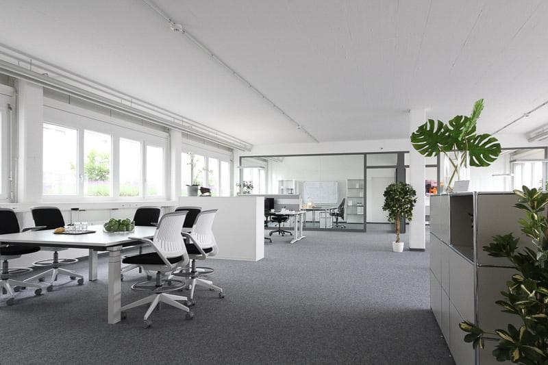 Espace commercial à Birsfelden (2)