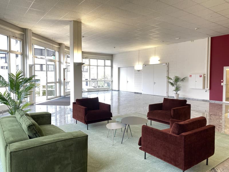 Espace commercial à Birsfelden (8)