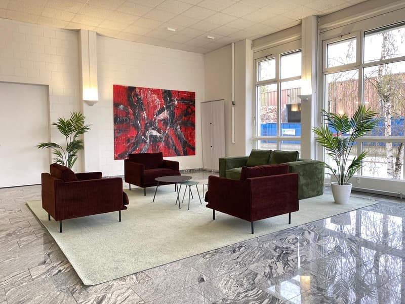 Espace commercial à Birsfelden (7)