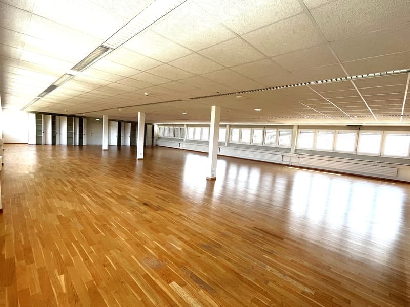 Open Space Office Space for Rent Immediately (4)