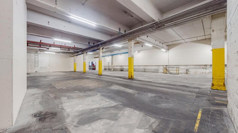 Commercial property in Biberist (3)