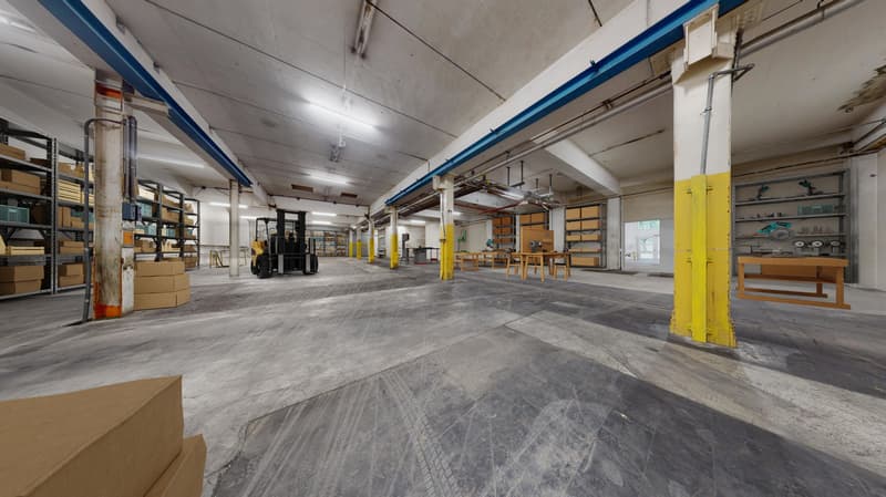 Commercial property in Biberist (4)