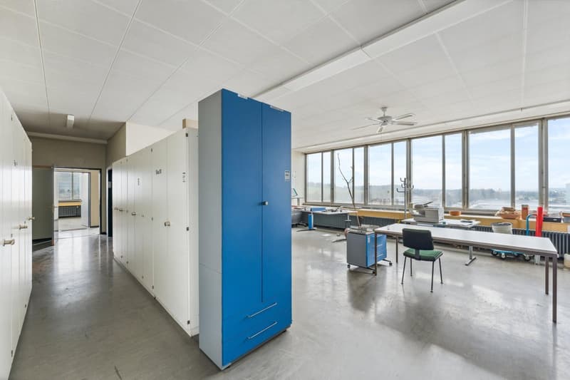 Commercial property in Biberist (7)