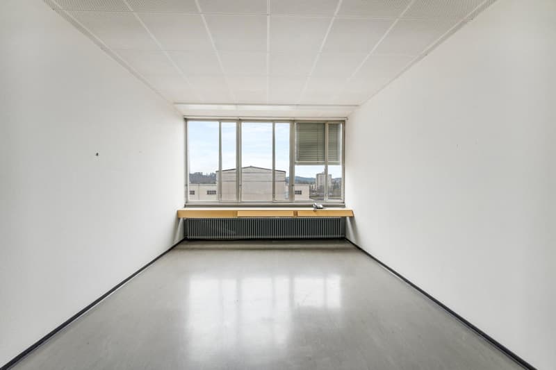 Commercial property in Biberist (8)