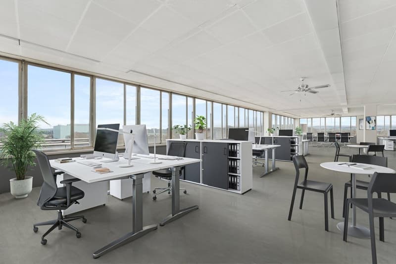 Commercial property in Biberist (2)