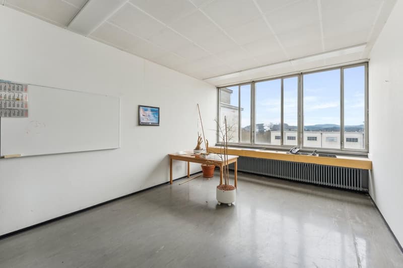Commercial property in Biberist (5)