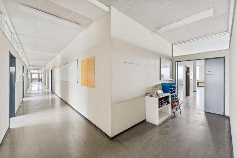 Commercial property in Biberist (6)