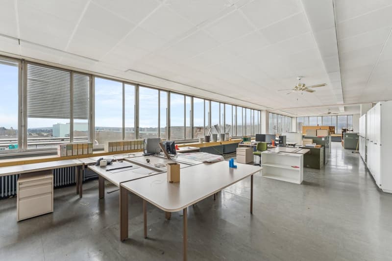 Commercial property in Biberist (4)