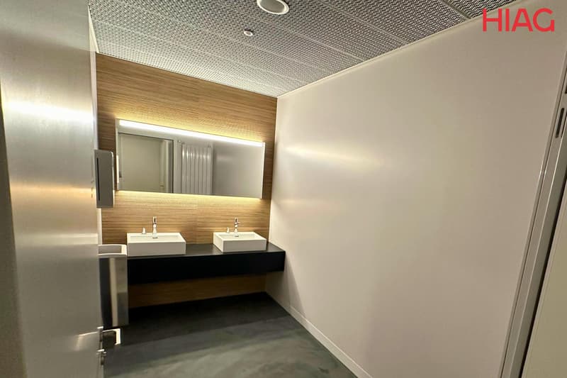 Bureaux dès 200 m² à Meyrin (6)