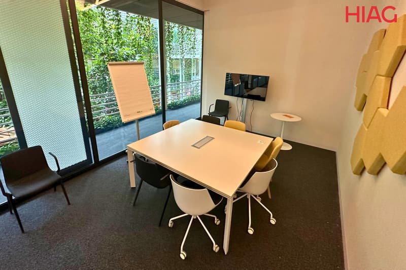 Bureaux plug & play 700 m² - Meyrin (9)