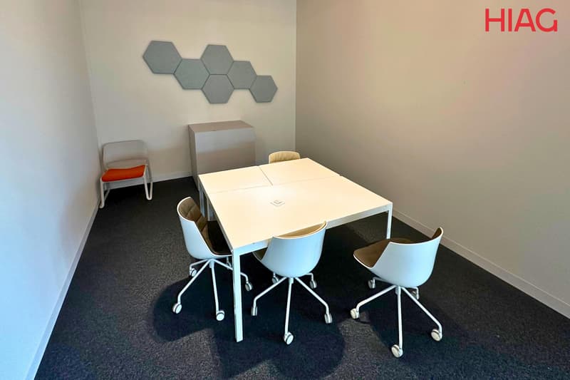 Bureaux plug & play 700 m² - Meyrin (10)