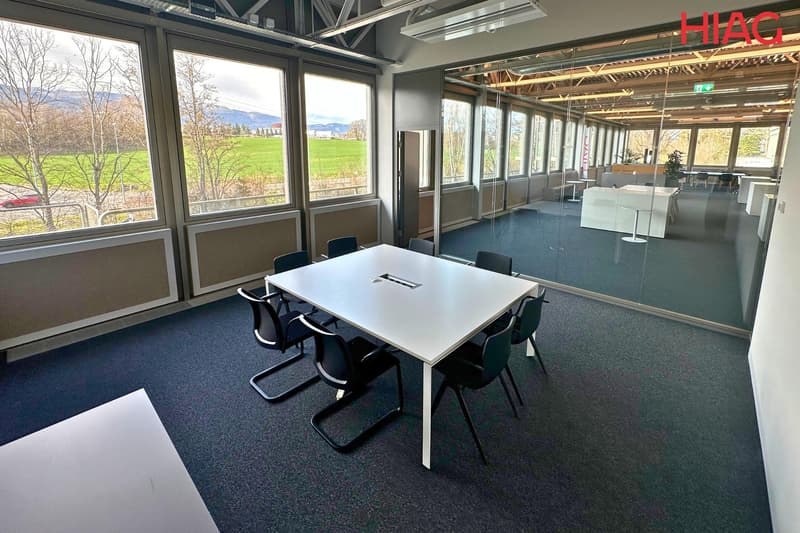 Bureaux plug & play 700 m² - Meyrin (8)