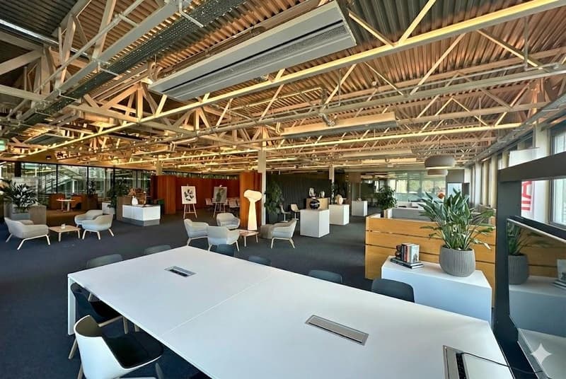 Bureaux plug & play 700 m² - Meyrin (3)