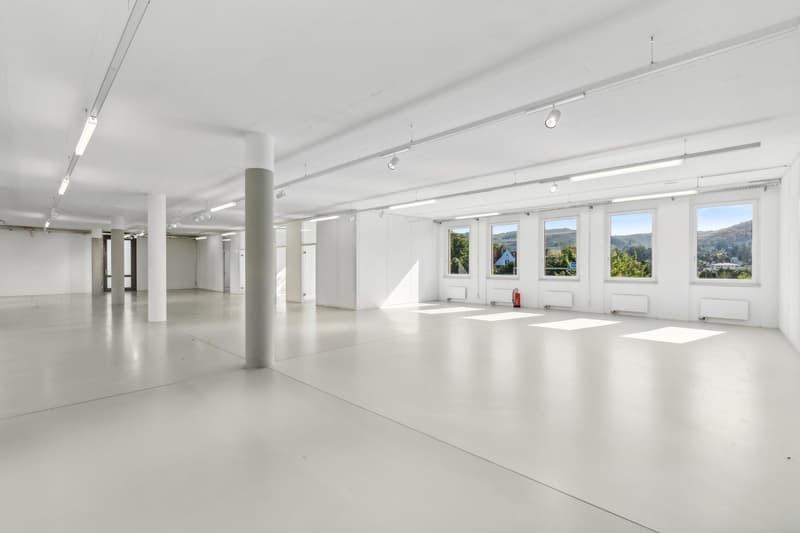 Espaces de bureau lumineux avec grand espace ouvert (5)