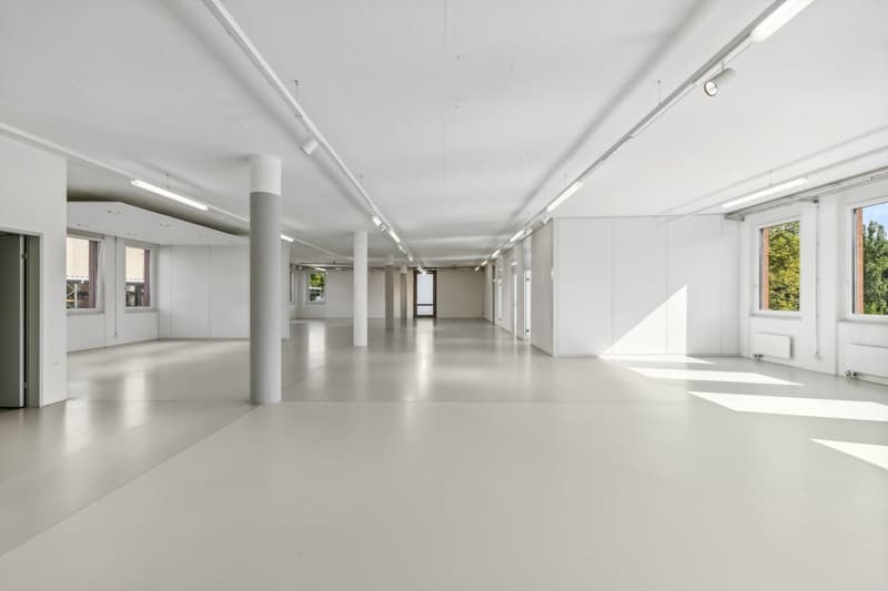 Espaces de bureau lumineux avec grand espace ouvert (4)