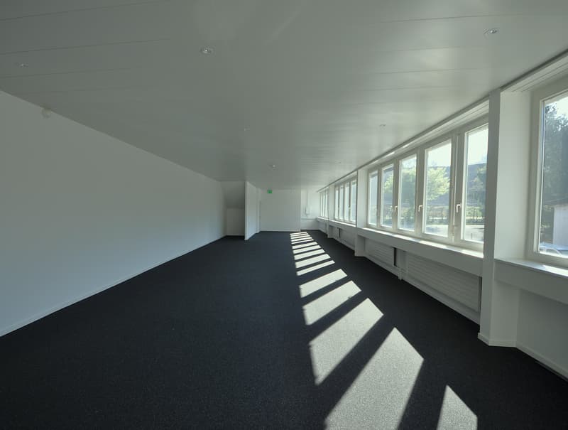 Spazio ufficio luminoso a Füllinsdorf (2)