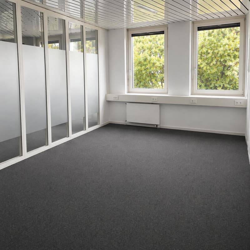 Grosszügige Bürofläche im 2. OG an zentraler Lage in Reinach (BL) (4)
