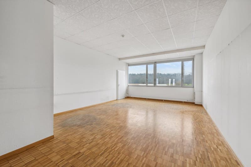 Attraktive Büroräume 20-494m² mit Aussicht zu vermieten (2)
