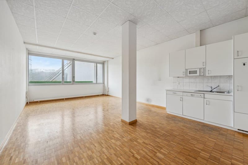 Attraktive Büroräume 20-494m² mit Aussicht zu vermieten (3)