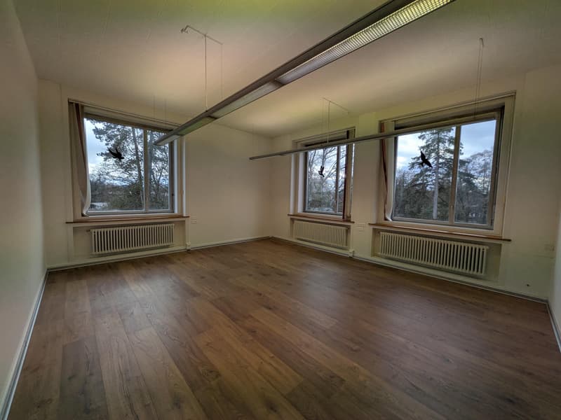 Büro in Biberist (1)