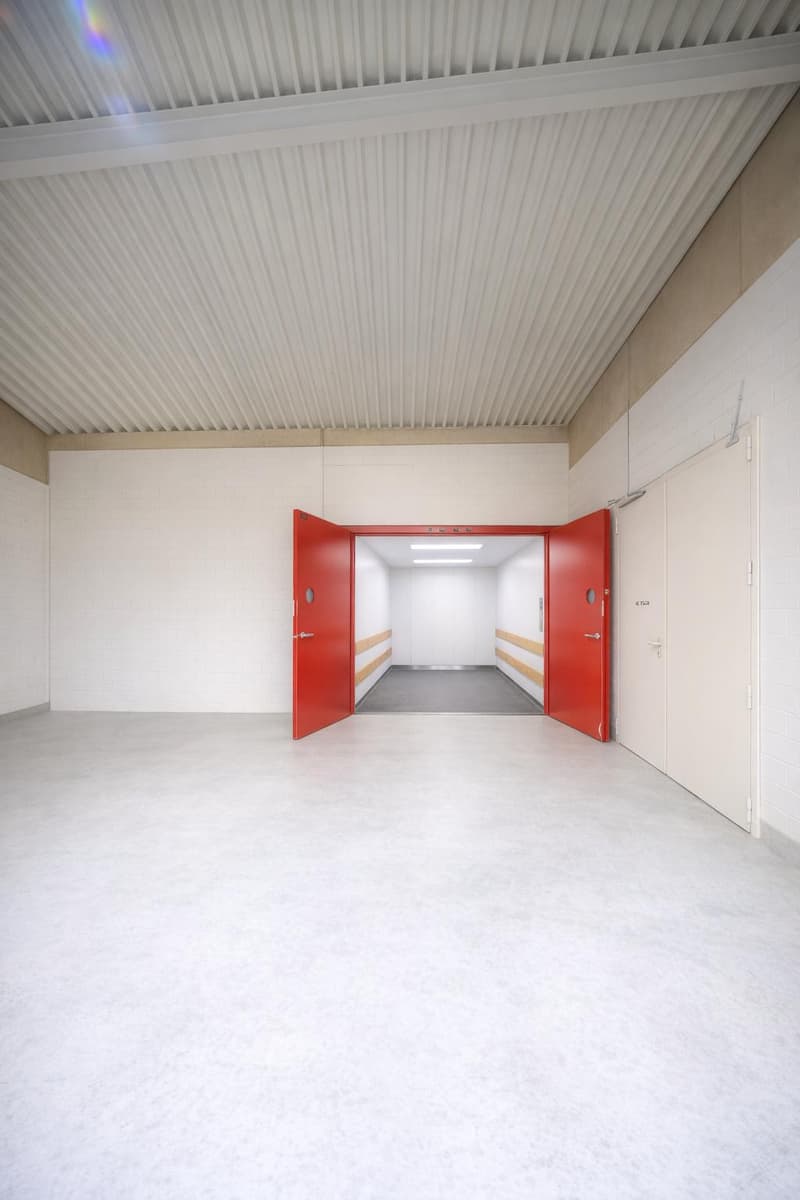 Grosszügige Gewerbefläche in Buchs AG (3)