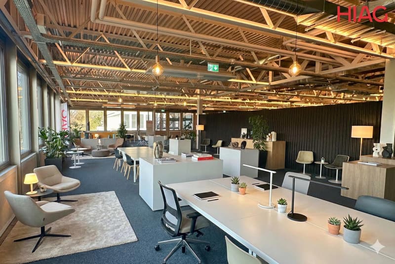 Bureaux plug & play 730 m² - Meyrin (1)