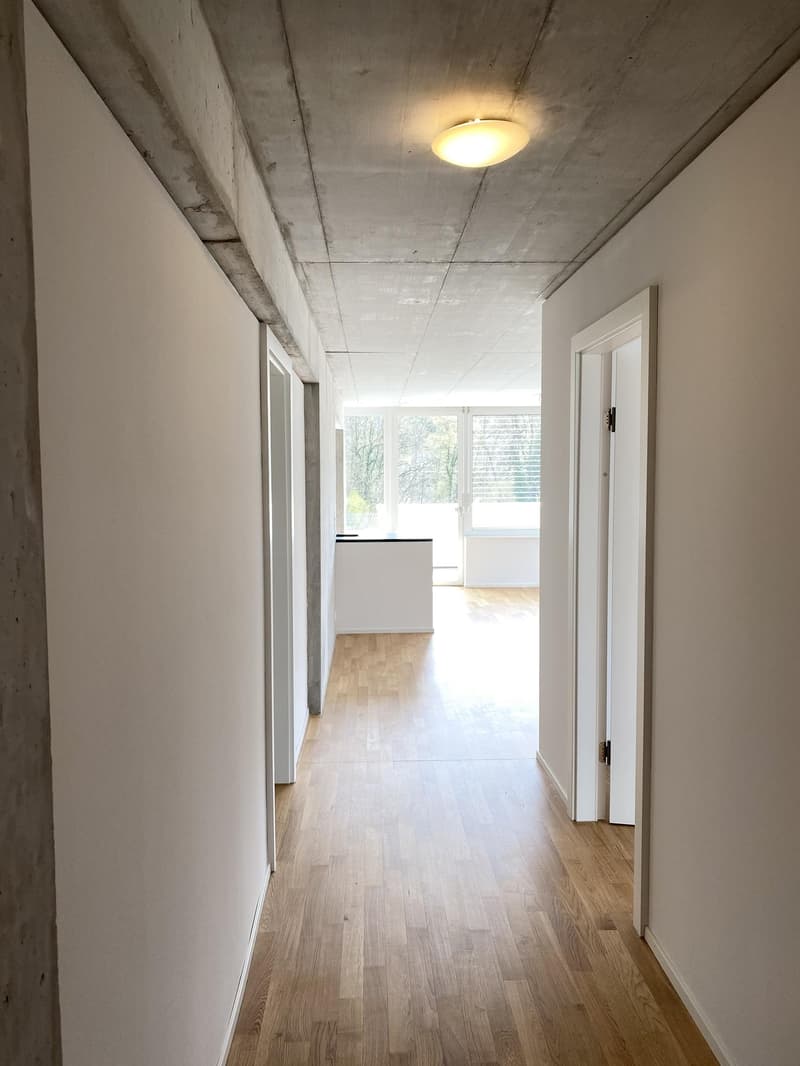 Ihr neuer Wohntraum im Kunzareal! (5)