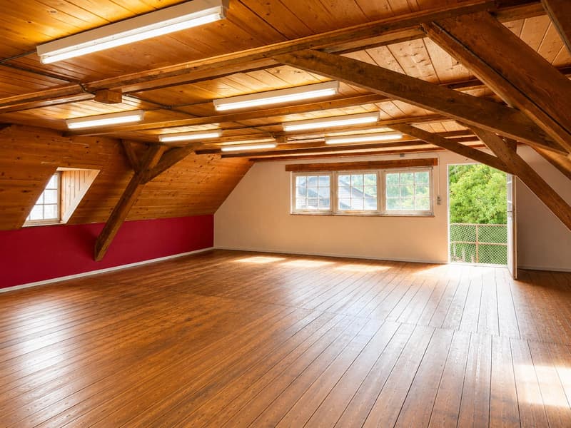Atelier im Wydeneck, Dornach (1)
