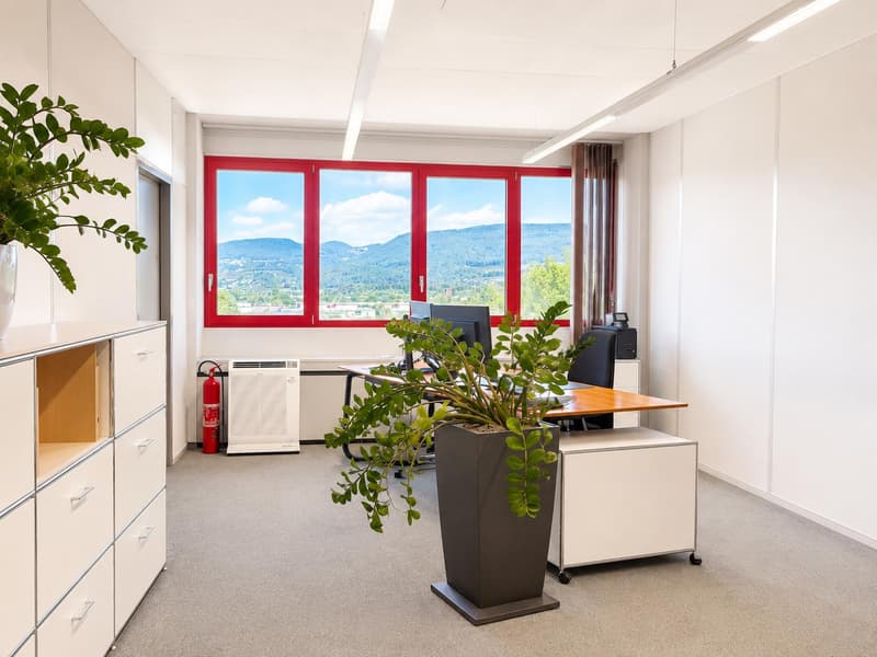 Helle Bürofläche in Buchs (2)