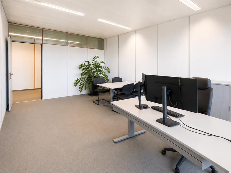 Helle Bürofläche in Buchs (3)