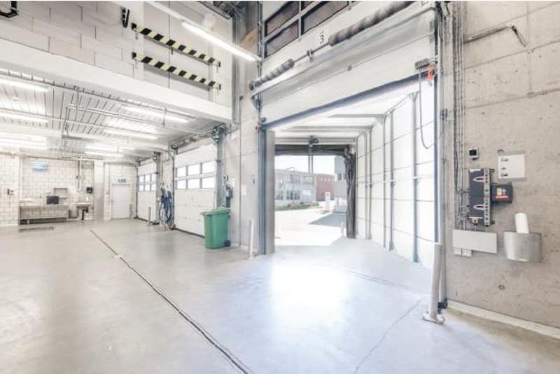 Top Industriehalle mit LKW-Rampen & Büroflächen in Kleindöttingen (3)