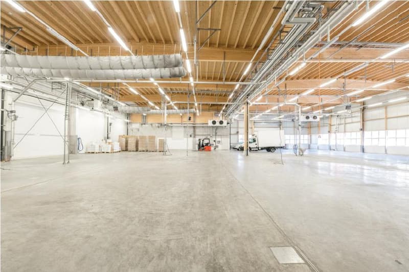 Top Industriehalle mit LKW-Rampen & Büroflächen in Kleindöttingen (5)