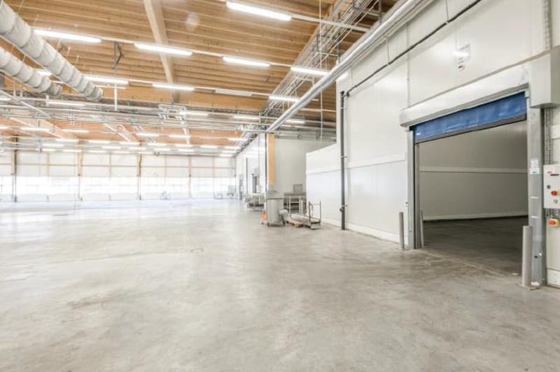 Top Industriehalle mit LKW-Rampen & Büroflächen in Kleindöttingen (6)
