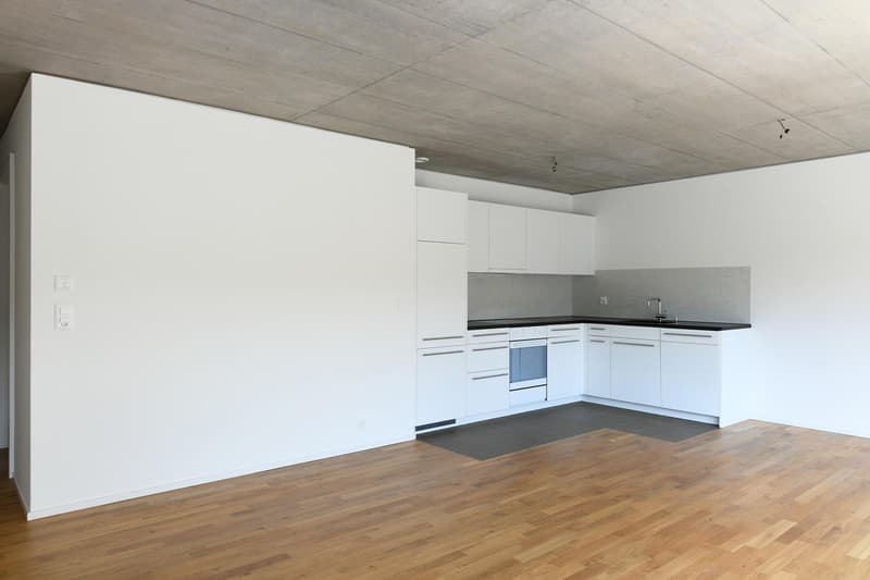 Aussergewöhnliche Wohnung mit Charme (3)