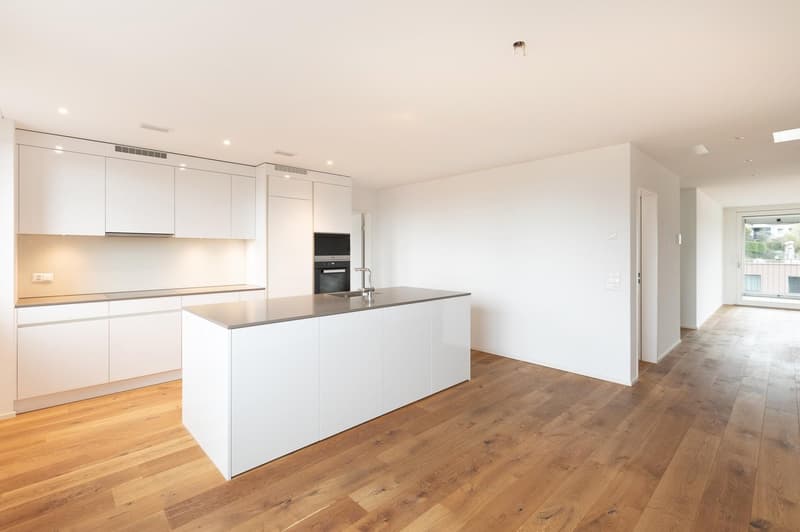 Moderne 3.5-Zimmer-Terrassenwohnung im 6. OG in Luzern (1)